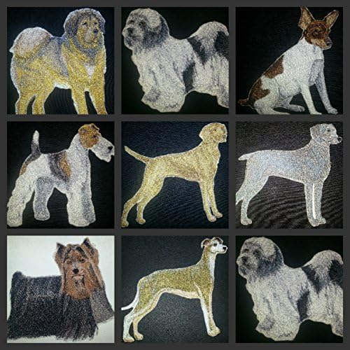 Csodálatos Egyéni Kutya Portrék[Yorkshire Terrier] Hímzett Vasalót/Varrni Patch [5 x 4]Made in USA]
