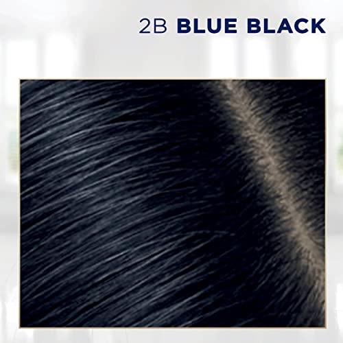 Clairol Root Touch-Up által Szép ' n ' Könnyű, Tartós hajfesték, 2B Kék Fekete Haja Színe, a doboz tartalma 1