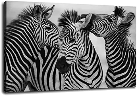 Vászon Wall Art Zebra Képek, Poszter Nyomtatás Állati ösztönök Fali Dekoráció Framed30 x20